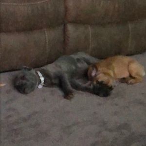 Meet your Posher, Amanda